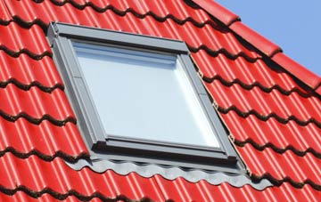 roof windows Loan, Falkirk