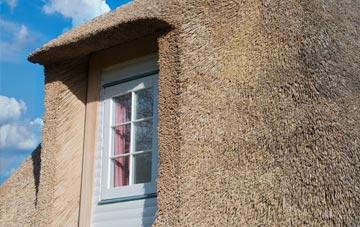 Loan thatch roof disadvantages